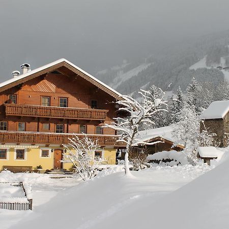 Zederberg Appartements Sankt Johann im Pongau Dış mekan fotoğraf