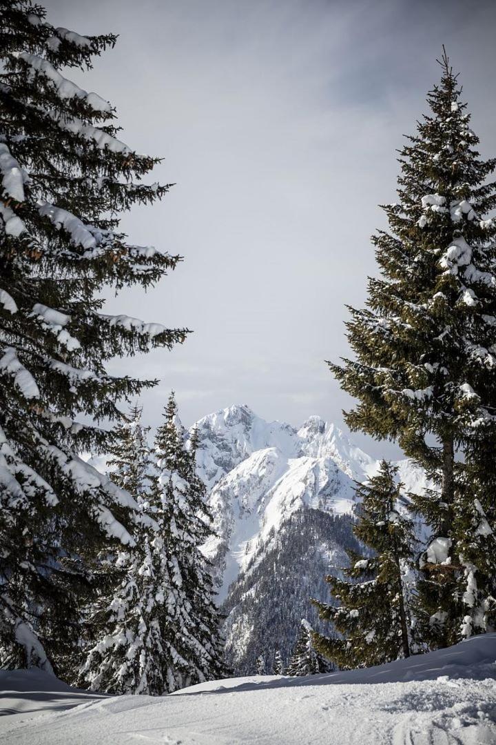 Zederberg Appartements Sankt Johann im Pongau Dış mekan fotoğraf