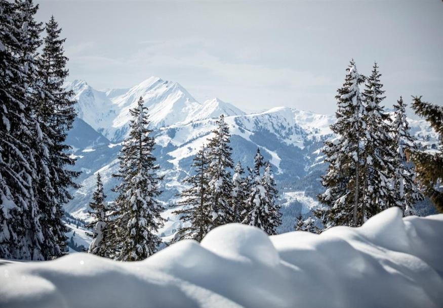 Zederberg Appartements Sankt Johann im Pongau Dış mekan fotoğraf